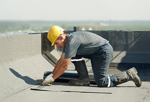 Best Specialized Insulation Services in Ipswich, SD