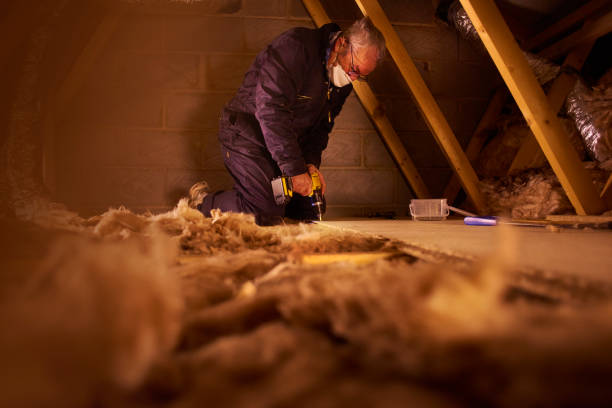 Best Cellulose Insulation in Ipswich, SD